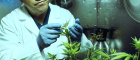 Med-X, Inc.